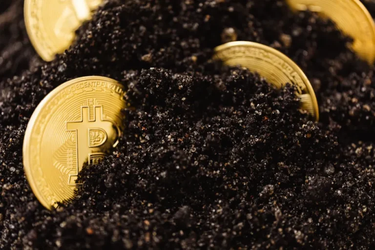 El Salvador registra US$ 35,4 milhões em remessas cripto no 1º semestre de 2026
