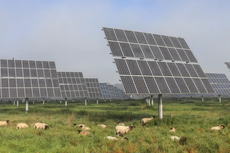 Panamint Capital inicia construção de megaprojeto solar de US$ 1,7 bilhão no Texas