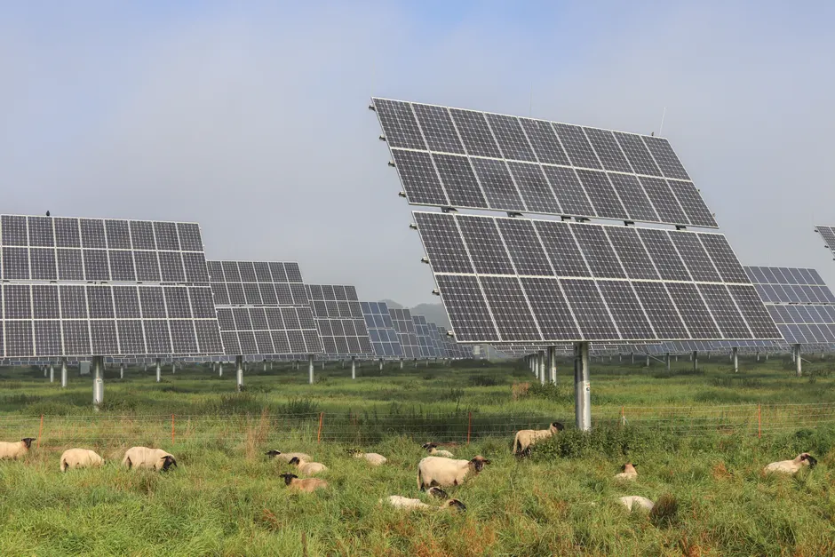 Panamint Capital inicia construção de megaprojeto solar de US$ 1,7 bilhão no Texas