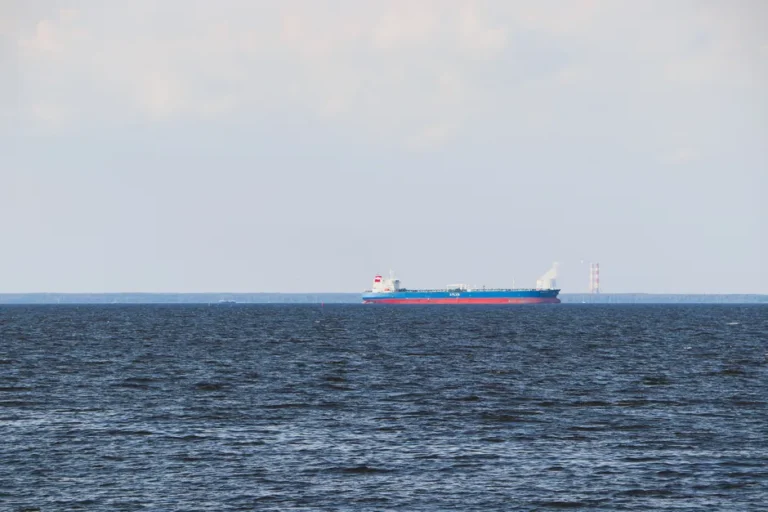 Conflito no Mar Negro ameaça elevar preço do trigo e do milho no Brasil