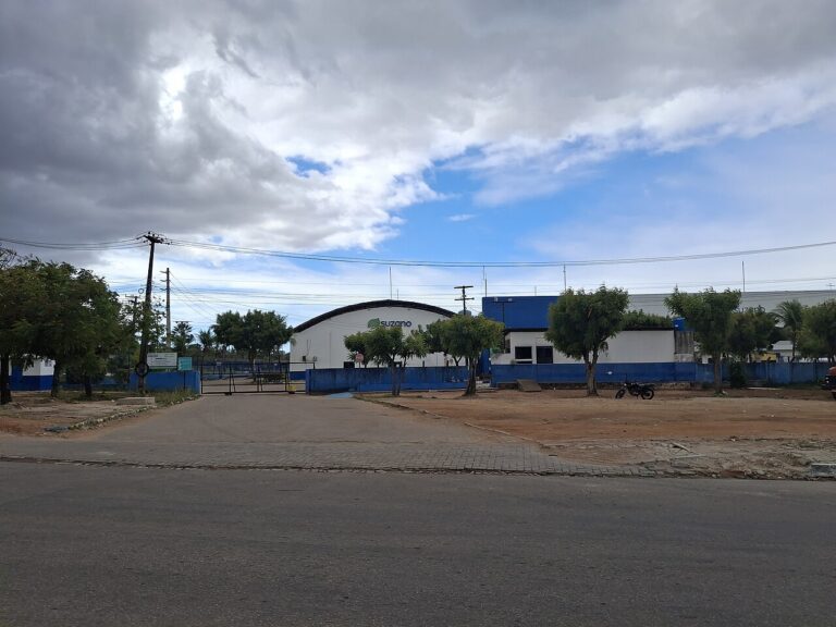Suzano condiciona eventual reajuste de papel higiênico e lenços à duração da guerra comercial